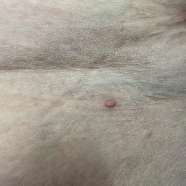 Before image